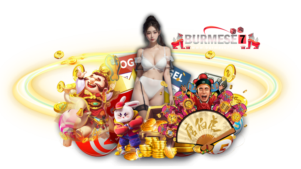 burmese7